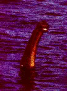 nessie.jpg (7383 bytes)