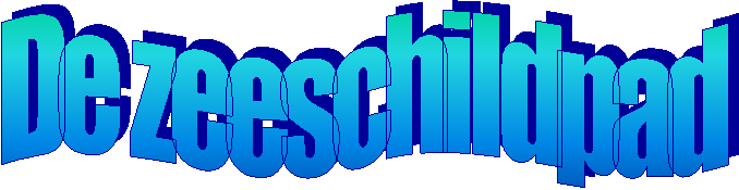 De zeeschildpad